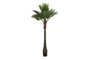 DKD Home Decor Palmera Verde y Beige de Poliéster y PP