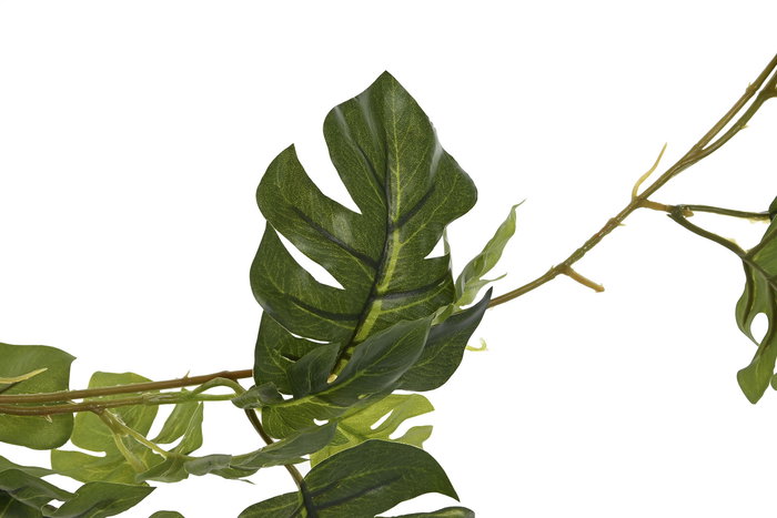 DKD Home Decor Guirnalda Little monstera Verde 25 x 249 x 25 cm (6 Unidades)