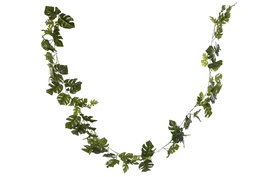 DKD Home Decor Guirnalda Little monstera Verde 25 x 249 x 25 cm (6 Unidades)