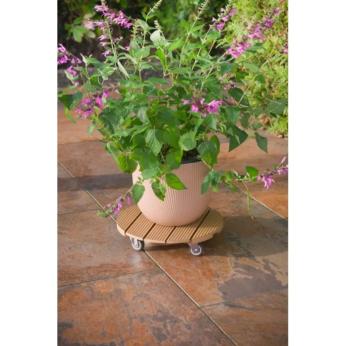 Nature NAT8711338702475 - Soporte para macetas con ruedas, material WPC, medidas 8.6 x 38 cm, 4 ruedas, color madera