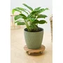 Nature NAT8711338702475 - Soporte para macetas con ruedas, material WPC, medidas 8.6 x 38 cm, 4 ruedas, color madera