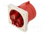 SEZ DK Conector de alimentación AC trifásico macho 32A 400V 5 pines