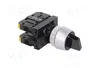 SPAMEL Interruptor Rotativo ST22 22mm 3 Posiciones NA x2 Negro