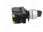 SPAMEL Interruptor Rotativo ST22 22mm 3 Posiciones NA x2 Negro
