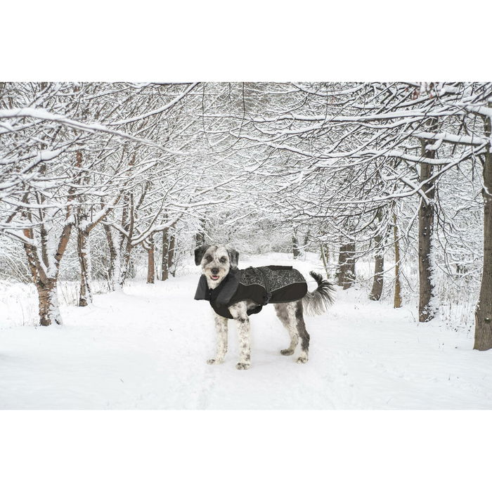 Dog Gone Smart Abrigo Aspen Negro Meteor Reflect 50 cm Impermeable y Reflectante para Perro con Forro Polar