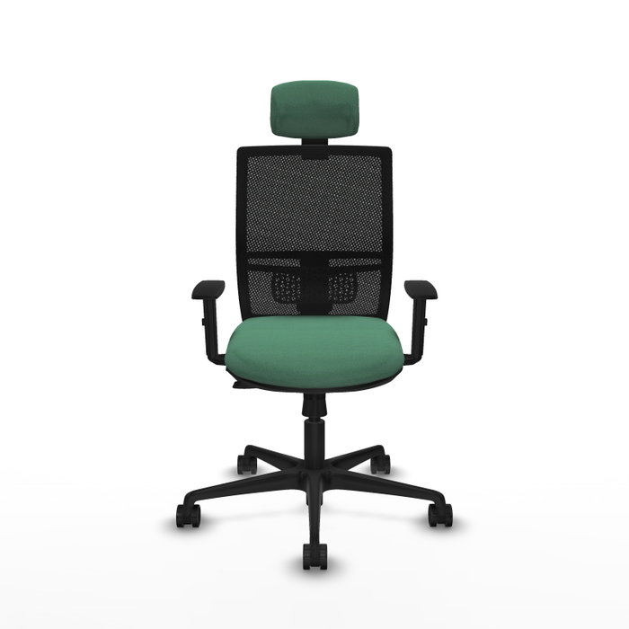 PIQUERAS Y CRESPO Silla de oficina Yunquera con mecanismo Sincro/Traslack, Verde esmeralda y Negro PIQUERAS Y CRESPO Silla de oficina Yunquera con mecanismo Sincro/Traslack, Verde esmeralda y Negro