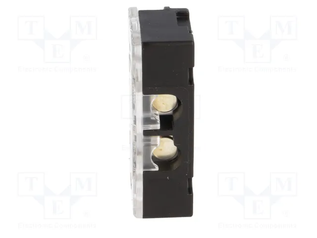 PIZZATO ELETTRICA Interruptor de seguridad DS a llave NC