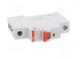 ABB SD201/16 Interruptor de aislamiento 16A 253VAC