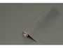 D-c-fix Rollo Adhesivo Autoadhesivo Decorativo, Papel Plástico Gris Taupe, 45 cm de Ancho x 15 m de Largo, para Manualidades DIY, Bricolaje y Renovación de Muebles