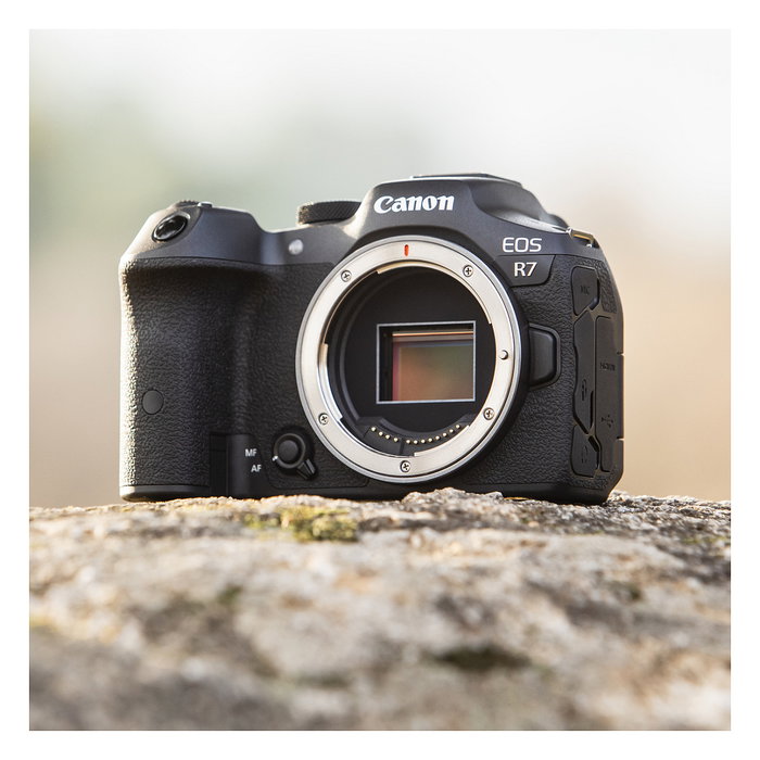 Canon EOS R7 32.5MP Negro