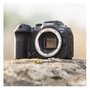 Canon EOS R7 32.5MP Negro