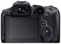 Canon EOS R7 32.5MP Negro