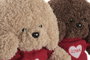 DKD Home Decor Peluche Caniche Surtido Marrón y Beige