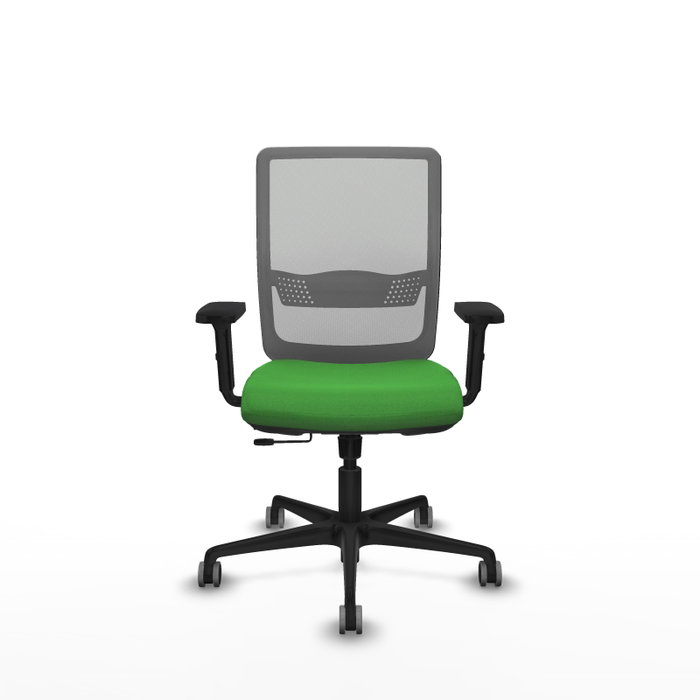 PIQUERAS Y CRESPO Silla de oficina Haches con mecanismo Sincro/Traslack, Verde y Gris PIQUERAS Y CRESPO Silla de oficina Haches con mecanismo Sincro/Traslack, Verde y Gris