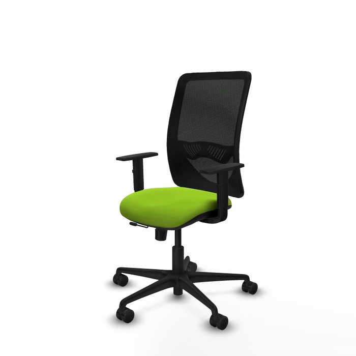 PIQUERAS Y CRESPO Silla de oficina Zulema con mecanismo Sincro/Traslack, Pistacho y Negro PIQUERAS Y CRESPO Silla de oficina Zulema con mecanismo Sincro/Traslack, Pistacho y Negro