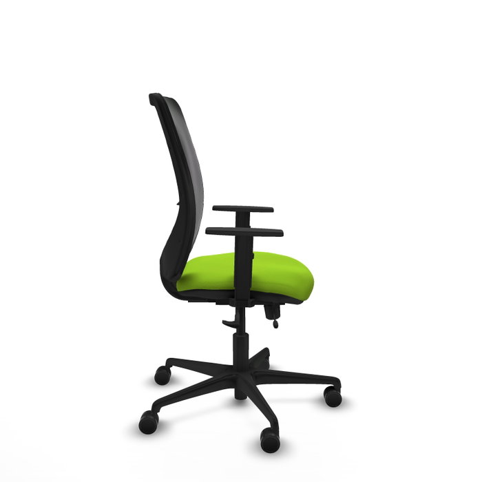 PIQUERAS Y CRESPO Silla de oficina Zulema con mecanismo Sincro/Traslack, Pistacho y Negro PIQUERAS Y CRESPO Silla de oficina Zulema con mecanismo Sincro/Traslack, Pistacho y Negro