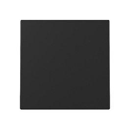 GIRA 3296005 Wippe System 55 Schwarz Placa Frontal