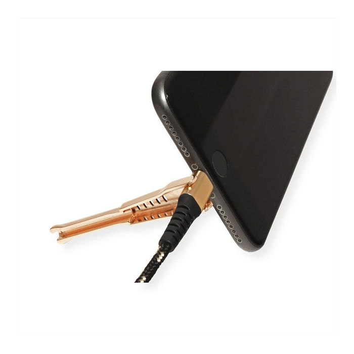 ROLINE 11.02.8923 Cable de Carga y Sincronización USB 2.0 a Lightning, 1m, Negro/Oro