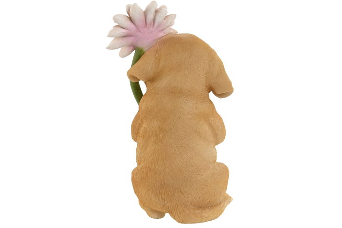 DKD Home Decor Set de 4 Figuras de Animales en Resina Multicolor DKD Home Decor Set de 4 Figuras de Animales en Resina Multicolor