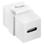 EQUIP Módulo Keystone-Koppler USB 3.2 Gen2 USB-C a USB-C Blanco