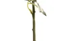 DKD Home Decor Flor Blanco 9 x 67 x 9 cm (12 Unidades) Tacto Real Seda