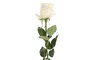 DKD Home Decor Flor Blanco 9 x 67 x 9 cm (12 Unidades) Tacto Real Seda