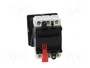 SCHNEIDER ELECTRIC TeSys VARIO Seccionador principal de seguridad 20A 3 Polos