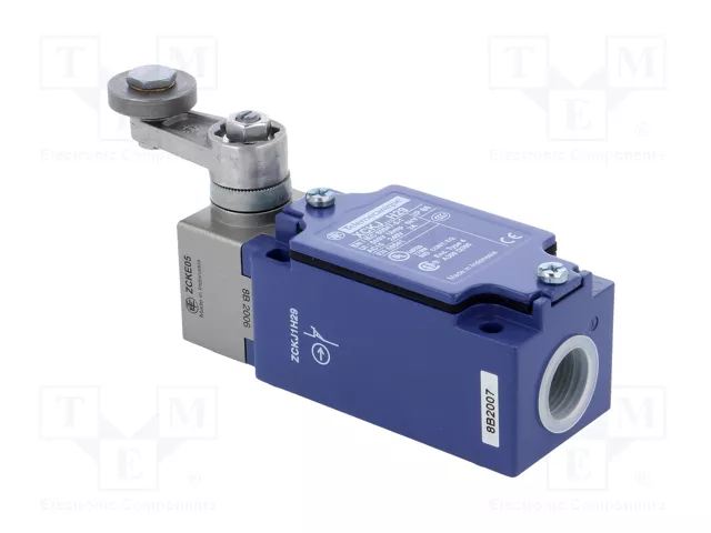 TELEMECANIQUE SENSORS Interruptor de fin de carrera XCKJ10513H29 NO + NC M20