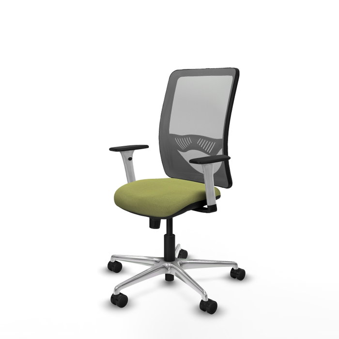 PIQUERAS Y CRESPO Silla de oficina Zulema con mecanismo Sincro, Verde oliva y Gris PIQUERAS Y CRESPO Silla de oficina Zulema con mecanismo Sincro, Verde oliva y Gris