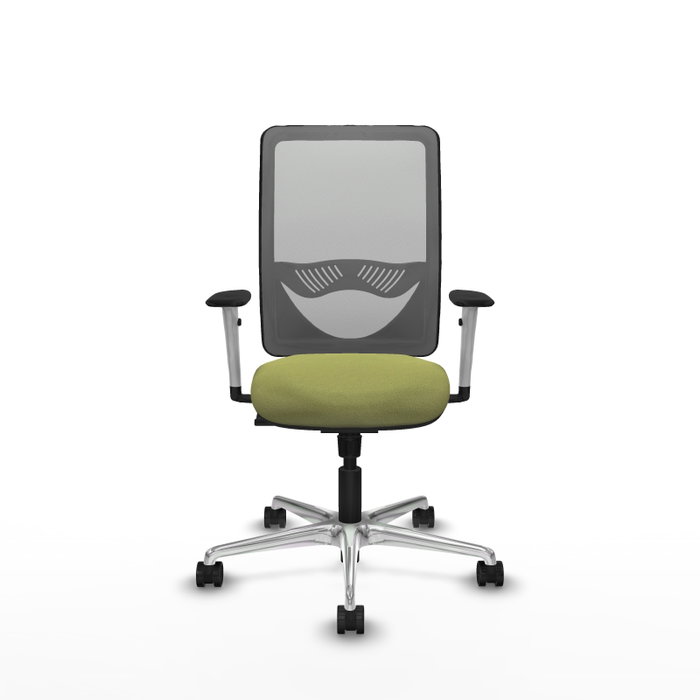 PIQUERAS Y CRESPO Silla de oficina Zulema con mecanismo Sincro, Verde oliva y Gris PIQUERAS Y CRESPO Silla de oficina Zulema con mecanismo Sincro, Verde oliva y Gris