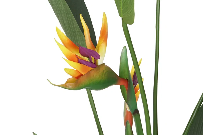 DKD Home Decor Planta Tropical Ave de Paraíso Verde Naranja Negro (2 Unidades)