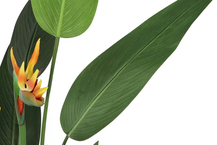 DKD Home Decor Planta Tropical Ave de Paraíso Verde Naranja Negro (2 Unidades)