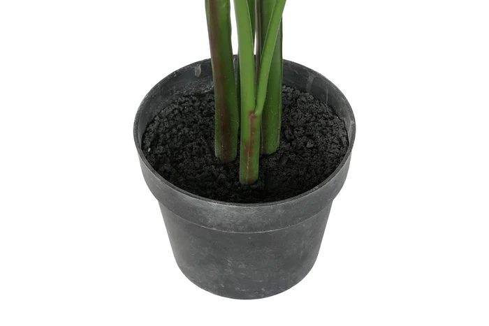 DKD Home Decor Planta Tropical Ave de Paraíso Verde Naranja Negro (2 Unidades)