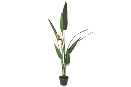 DKD Home Decor Planta Tropical Ave de Paraíso Verde Naranja Negro (2 Unidades)