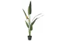 DKD Home Decor Planta Tropical Ave de Paraíso Verde Naranja Negro (2 Unidades)