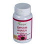 PLANTAPOL Echinacea + Propóleo + Vitamina C 60 comprimidos masticables