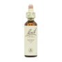 BACH Holly (Acebo) Nº15 20ml