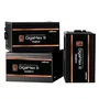 ZALMAN GigaMax III 850 W ATX Negro