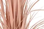 DKD Home Decor Planta tipo Plumero Coral y Negro 25x25x80 cm