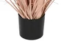 DKD Home Decor Planta tipo Plumero Coral y Negro 25x25x80 cm