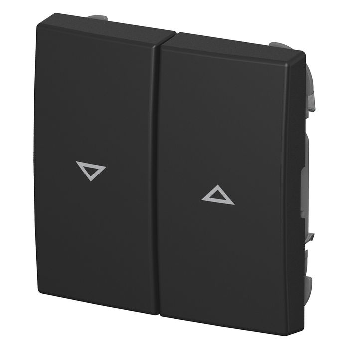 BUSCH-JAEGER 2CKA001713A0203 Wippe con Impresión Flecha Arriba/Abajo Busch-balance® SI Negro Mate Termoplástico IP20