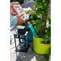GF Aquaflora Holiday Riego vacacional por goteo, colores surtidos