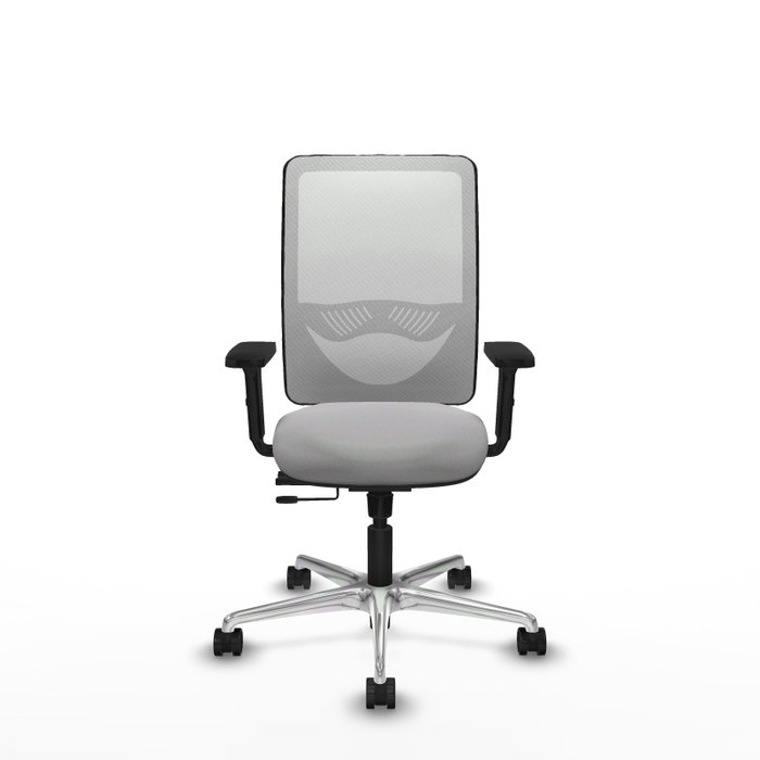 PIQUERAS Y CRESPO Silla de oficina Zulema con mecanismo Sincro/Traslack, Gris claro y Blanco PIQUERAS Y CRESPO Silla de oficina Zulema con mecanismo Sincro/Traslack, Gris claro y Blanco