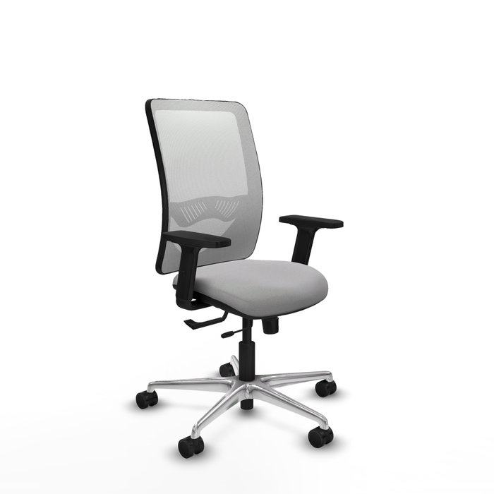 PIQUERAS Y CRESPO Silla de oficina Zulema con mecanismo Sincro/Traslack, Gris claro y Blanco PIQUERAS Y CRESPO Silla de oficina Zulema con mecanismo Sincro/Traslack, Gris claro y Blanco
