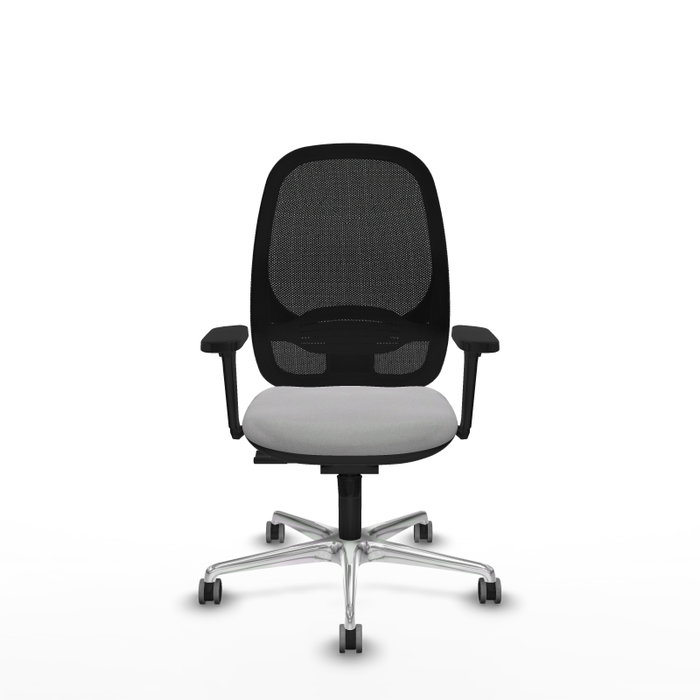 PIQUERAS Y CRESPO Silla de oficina Cilanco con mecanismo Sincro, Gris claro y Negro PIQUERAS Y CRESPO Silla de oficina Cilanco con mecanismo Sincro, Gris claro y Negro