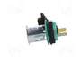 PRO CAR Tomacorriente de encendedor verde 20A 12-24VDC