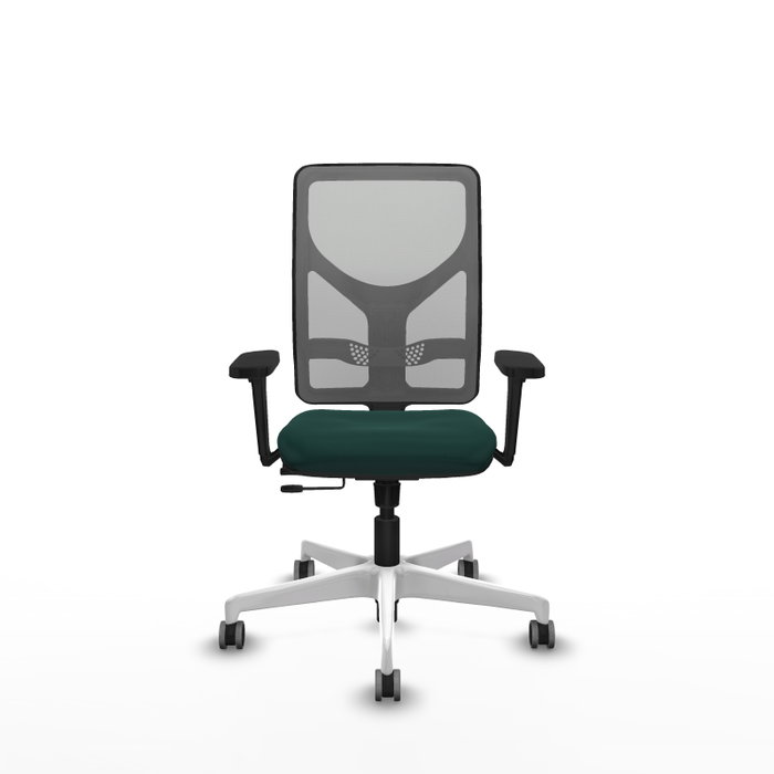 PIQUERAS Y CRESPO Silla de oficina Motilla con mecanismo Sincro/Traslack, Verde botella y Gris PIQUERAS Y CRESPO Silla de oficina Motilla con mecanismo Sincro/Traslack, Verde botella y Gris