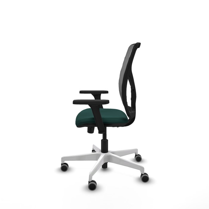 PIQUERAS Y CRESPO Silla de oficina Motilla con mecanismo Sincro/Traslack, Verde botella y Gris PIQUERAS Y CRESPO Silla de oficina Motilla con mecanismo Sincro/Traslack, Verde botella y Gris