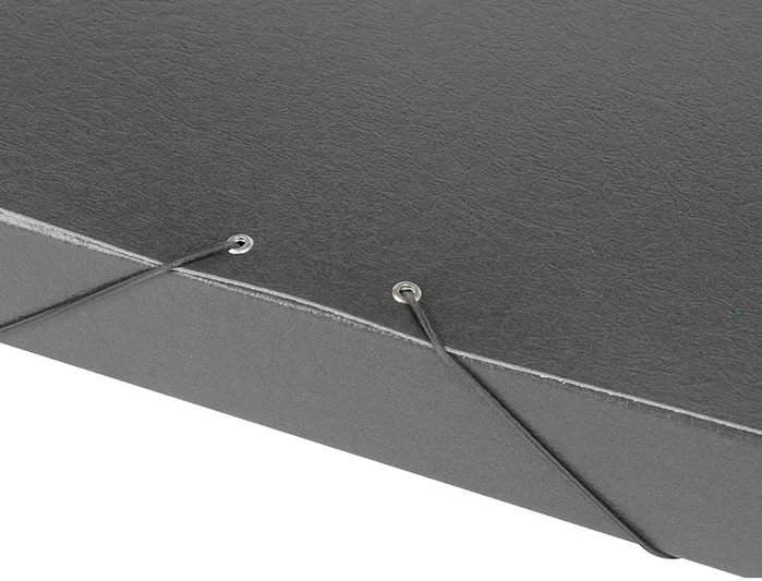 Liderpapel Carpeta de proyectos lomo 50mm gris