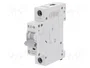 EATON ELECTRIC Interruptor magnetotérmico HN-B10/1 10A 1 polo 6kA